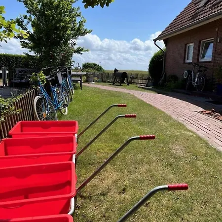 Antonin Im Witte Sand, *